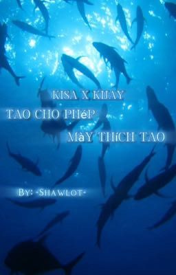 Mega Smp [Kisa x Kijay]: Tao cho phép mày thich tao