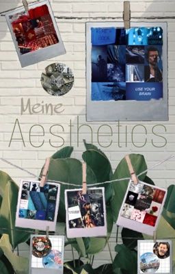 Meine Aesthetics