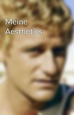 Meine Aesthetics