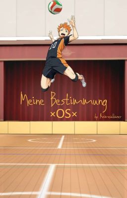 Meine Bestimmung × OS ×