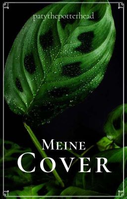 Meine Cover