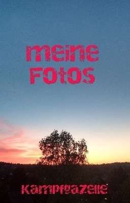 meine Fotos