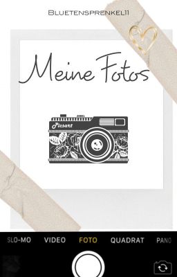 Meine Fotos