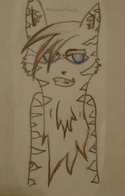 Meine Warrior Cats FF