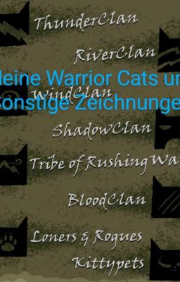 Meine Warrior Cats und Sonstige Zeichnungen