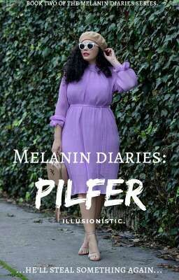 Melanin Diaries: Pilfer