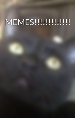 MEMES!!!!!!!!!!!!!