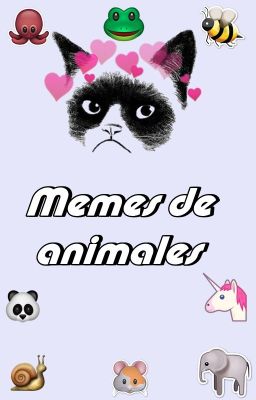 Memes de Animales