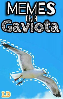 Memes de La Gaviota