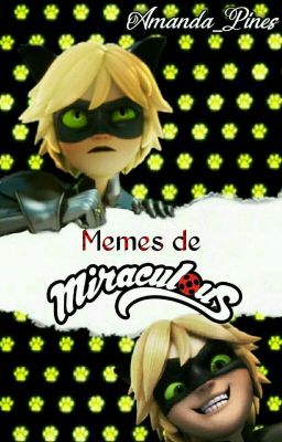 Memes de Miraculous