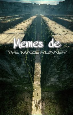 ✨Memes de The Maze Runner✨