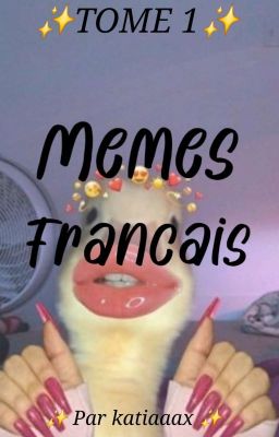 Memes Drôles Français ~ TOME 1 ~ [Fini]