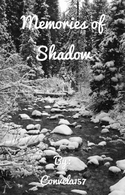 Memories of Shadow: Shadows Book One