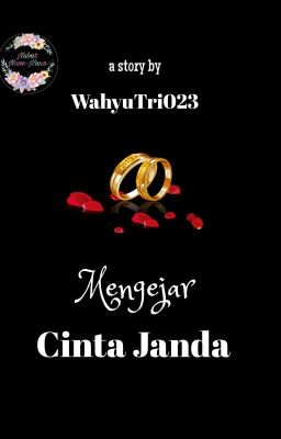 Mengejar Cinta Janda