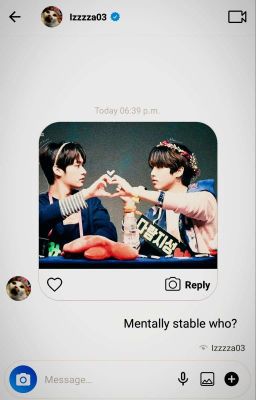 Mentally Stable Who? ~ Minsung