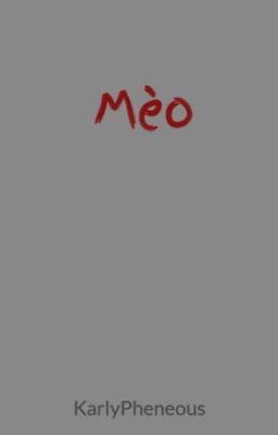 Mèo