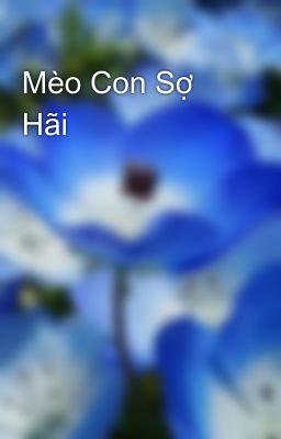 Mèo Con Sợ Hãi