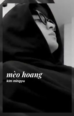 mèo hoang. kim mingyu