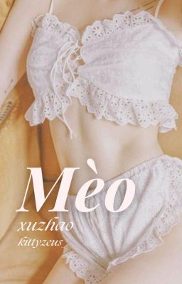 【 Mèo ➹ 𝒙𝒖𝒛𝒉𝒂𝒐 】