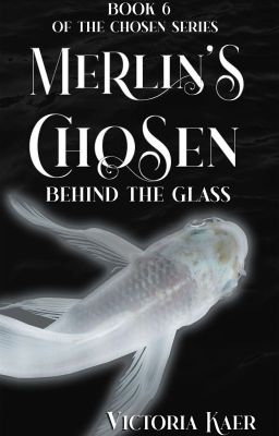 ©Merlin's Chosen Book 6 Behind the Glass *Published Work*