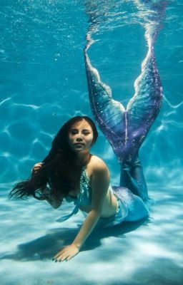 Mermaid Magic .