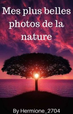 Mes plus belles photos de la nature 