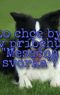 Mesačná Svorka- Kto chce ísť do príbehu Mesačná Svorka?