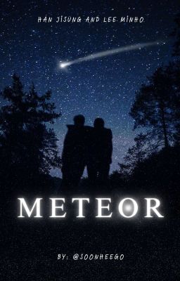 Meteor- Minsung oneshot (@soonheego) [✓]