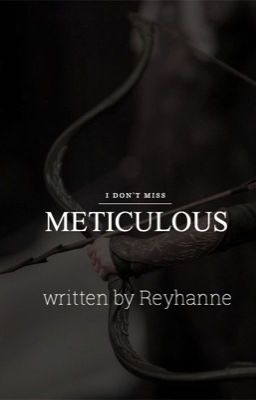 METICULOUS ➢ BRAN STARK