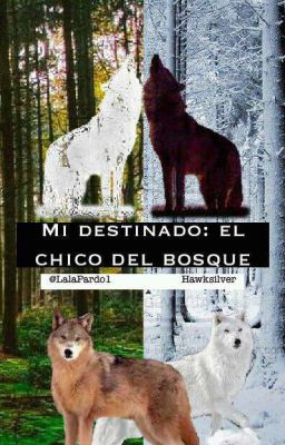 Mi destinado: el chico del bosque *Hawksilver*