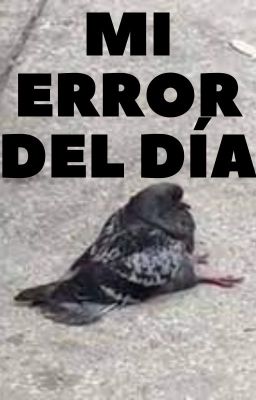 Mi error del día