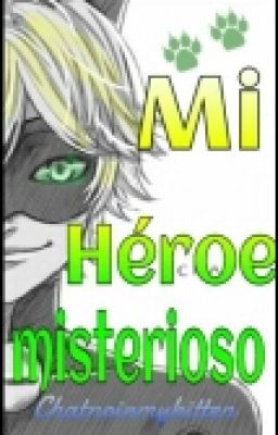 Mi héroe misterioso - Chat Noir