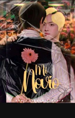 Mi Novio|Namjin|Terminada