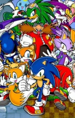 mi opinion sobre los personajes del sonic team y las parejas