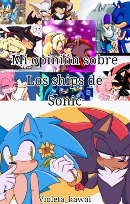 Mi Opinión Sobre Los Ships De Sonic