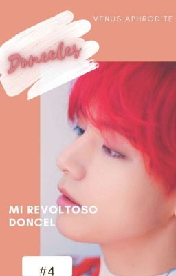 Mi Revoltoso Doncel 《KookV》