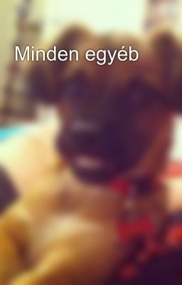 Minden egyéb