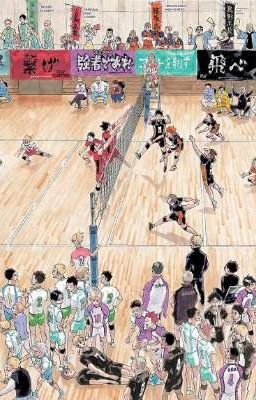 Mình yêu Haikyuu 