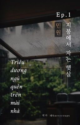 Minwon | Triêu dương ngủ quên trên mái nhà