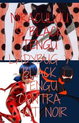 Miraculous Black Tengu: Ladybug y Black Tengu contra Chat Noir