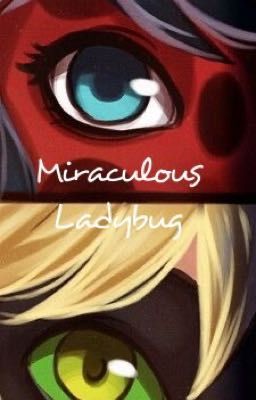 Miraculous Ladybug Book 1!