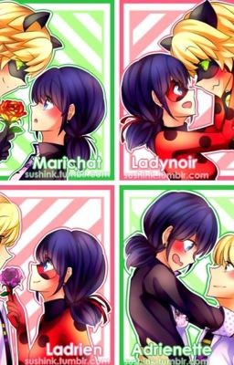 [Miraculous Ladybug Fanfic] Oneshorts