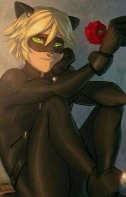 Miraculous Ladybug- Fire of Love