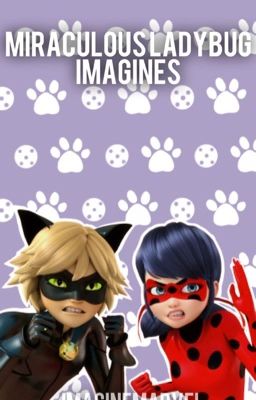 Miraculous Ladybug Imagines