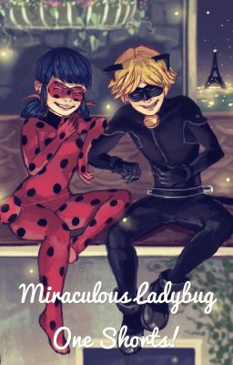 Miraculous ladybug one shorts ~ VOL 2