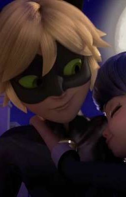 miraculous marichat