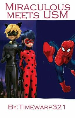 Miraculous meets USM