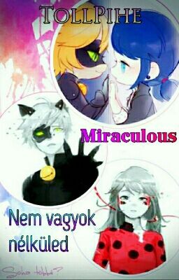 Miraculous-Nem vagyok nélküled 