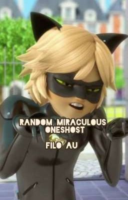      MIRACULOUS Oneshot filo au