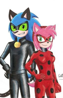 Miraculous SonAmy artwork